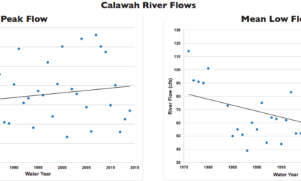 State of Our Watersheds: River flows hurt salmon on the Calawah River