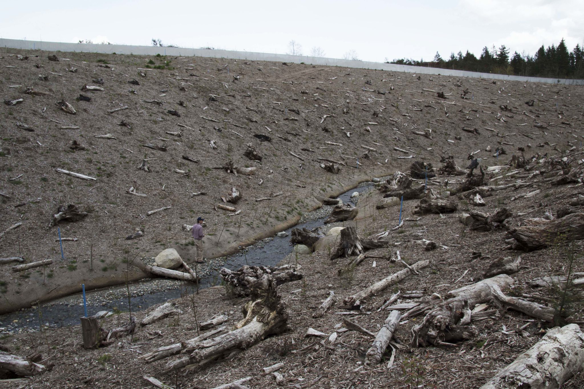 Former Landfill Restored to Salmon-Friendly Stream Again